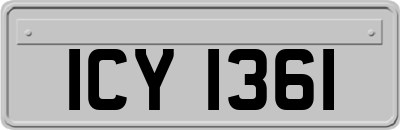 ICY1361