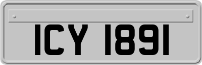 ICY1891