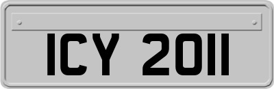 ICY2011