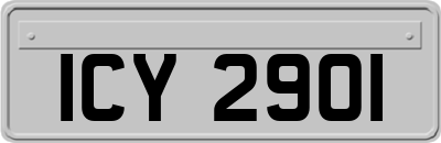 ICY2901