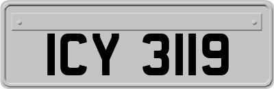 ICY3119