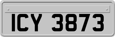 ICY3873