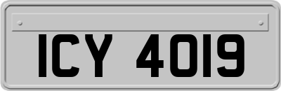 ICY4019