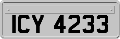 ICY4233