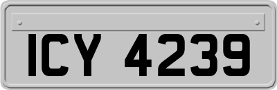 ICY4239