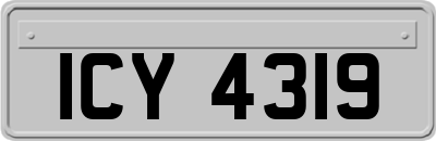 ICY4319