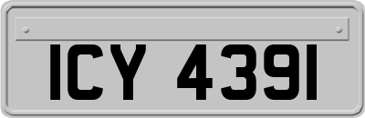 ICY4391