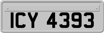 ICY4393