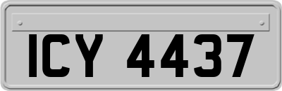 ICY4437