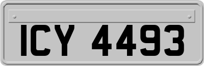 ICY4493