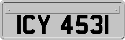 ICY4531