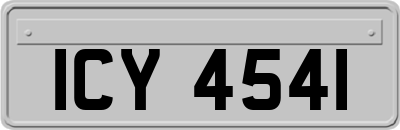 ICY4541