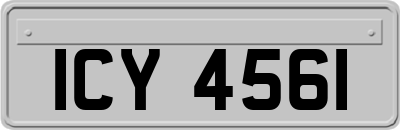 ICY4561