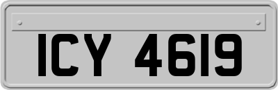 ICY4619