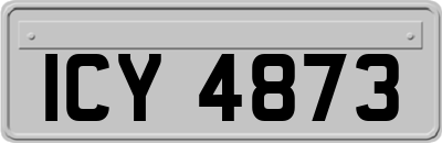 ICY4873