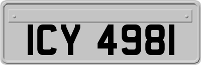 ICY4981