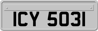 ICY5031