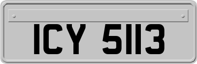 ICY5113