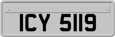ICY5119