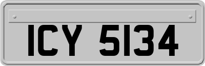 ICY5134