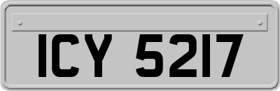 ICY5217