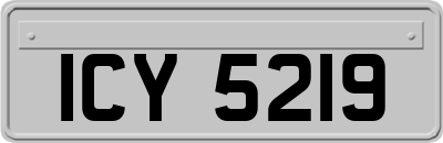 ICY5219