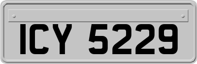ICY5229