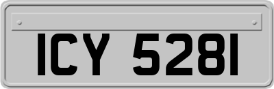 ICY5281