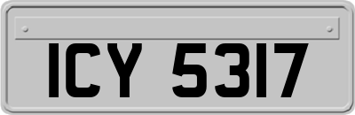 ICY5317