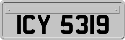 ICY5319