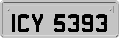 ICY5393
