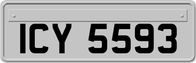 ICY5593
