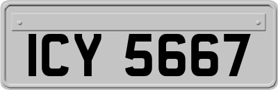 ICY5667