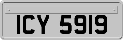 ICY5919