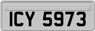ICY5973