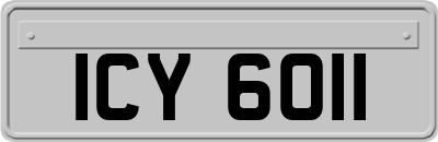 ICY6011