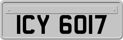 ICY6017