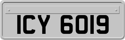ICY6019