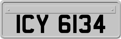 ICY6134