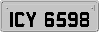 ICY6598