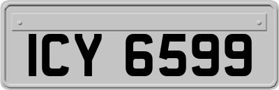 ICY6599
