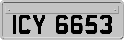 ICY6653