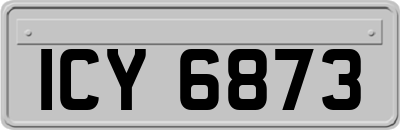 ICY6873