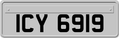 ICY6919
