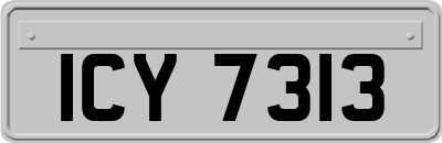 ICY7313