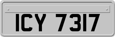 ICY7317