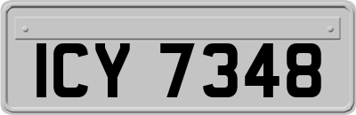 ICY7348