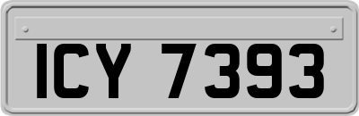 ICY7393