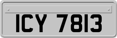 ICY7813