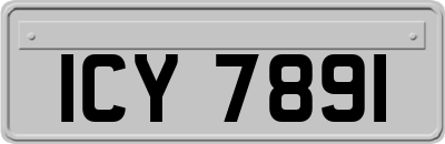 ICY7891